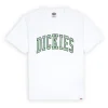 Dickies – Aitkin Tee – T-shirt vente pas cher 22