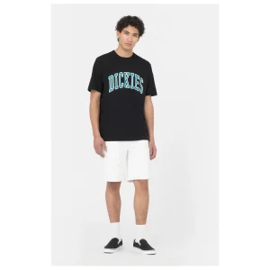 Dickies – Aitkin Tee – T-shirt vente pas cher 12